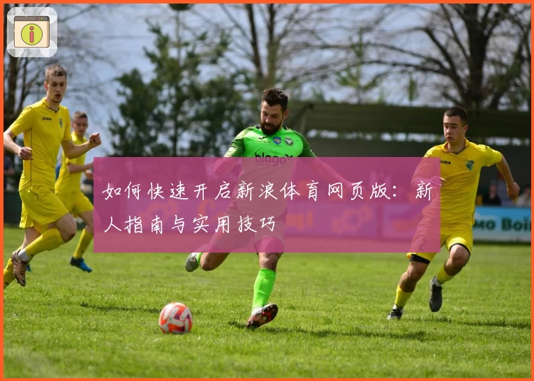 如何快速开启新浪体育网页版：新人指南与实用技巧