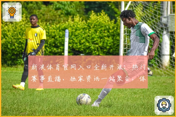 新浪体育官网入口全新开放：热门赛事直播、独家资讯一站聚合，体验极速观看
