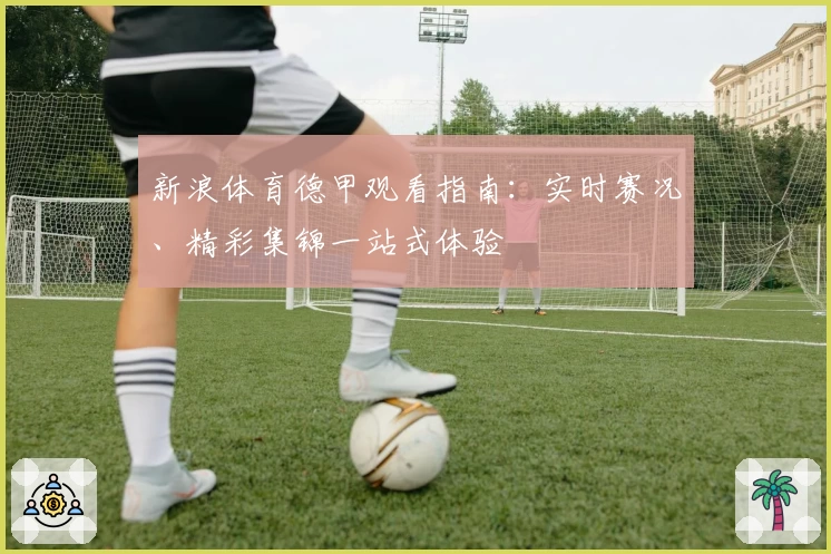 新浪体育德甲观看指南：实时赛况、精彩集锦一站式体验