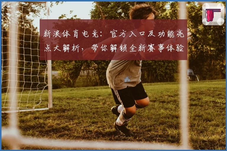 新浪体育电竞：官方入口及功能亮点大解析，带你解锁全新赛事体验
