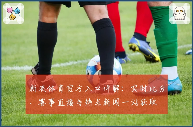 新浪体育官方入口详解：实时比分、赛事直播与热点新闻一站获取