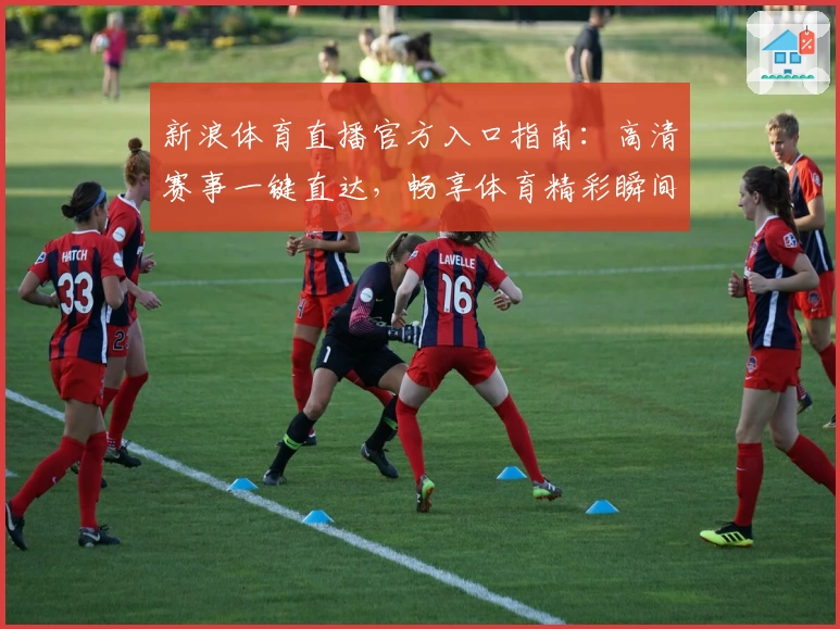 新浪体育直播官方入口指南：高清赛事一键直达，畅享体育精彩瞬间