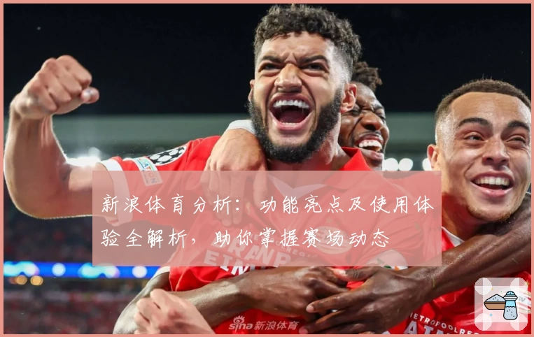 新浪体育分析：功能亮点及使用体验全解析，助你掌握赛场动态