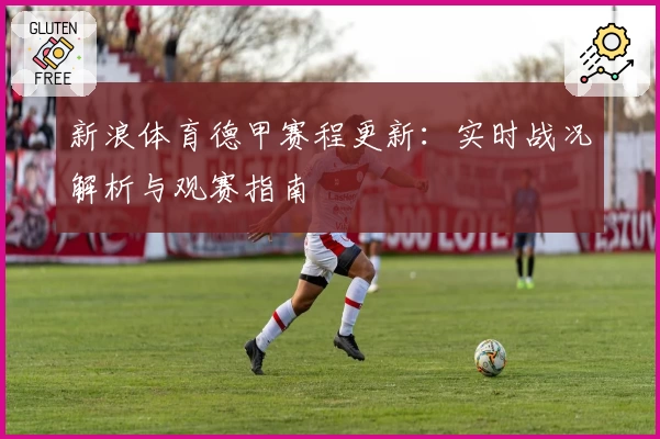 新浪体育德甲赛程更新：实时战况解析与观赛指南