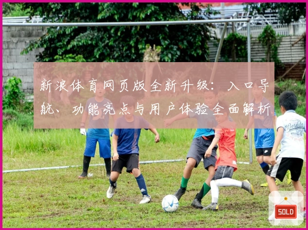 新浪体育网页版全新升级:入口导航、功能亮点与用户体验全面解析