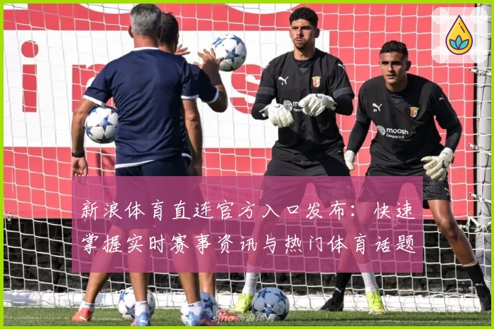 新浪体育直连官方入口发布：快速掌握实时赛事资讯与热门体育话题