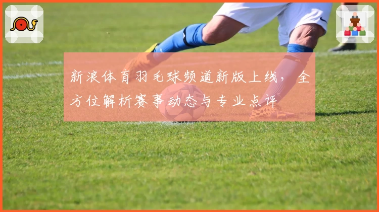 新浪体育羽毛球频道新版上线,全方位解析赛事动态与专业点评