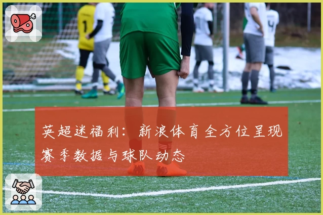 英超迷福利：新浪体育全方位呈现赛季数据与球队动态