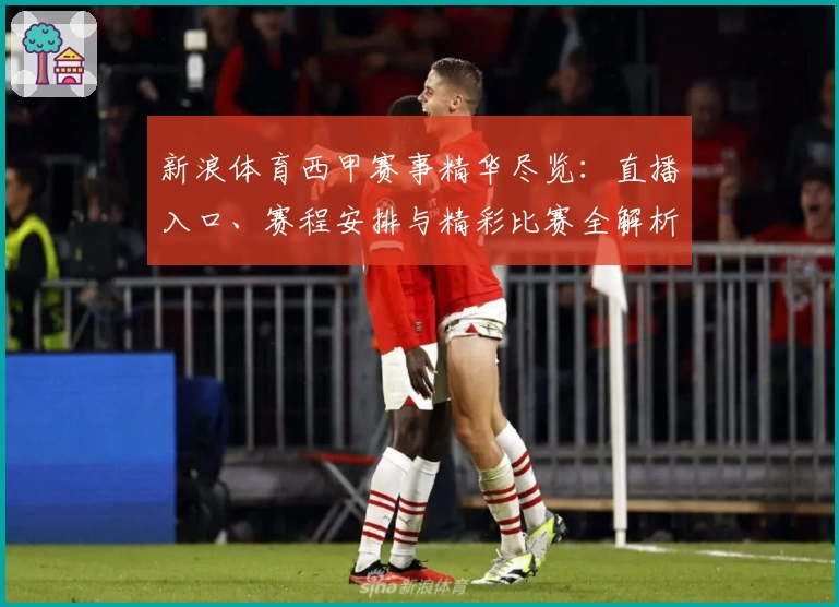 新浪体育西甲赛事精华尽览：直播入口、赛程安排与精彩比赛全解析
