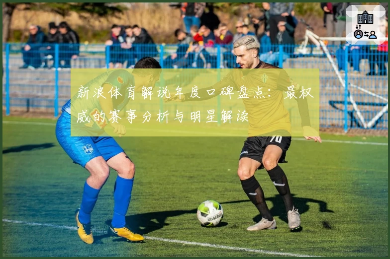 新浪体育解说年度口碑盘点：最权威的赛事分析与明星解读