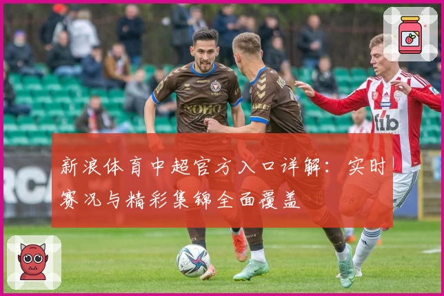 新浪体育中超官方入口详解：实时赛况与精彩集锦全面覆盖