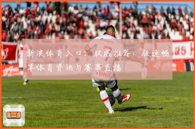 新浪体育入口：权威推荐，极速畅享体育资讯与赛事直播
