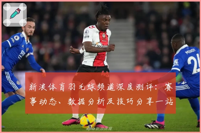 新浪体育羽毛球频道深度测评：赛事动态、数据分析及技巧分享一站式体验