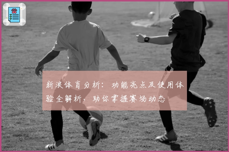 新浪体育分析：功能亮点及使用体验全解析，助你掌握赛场动态