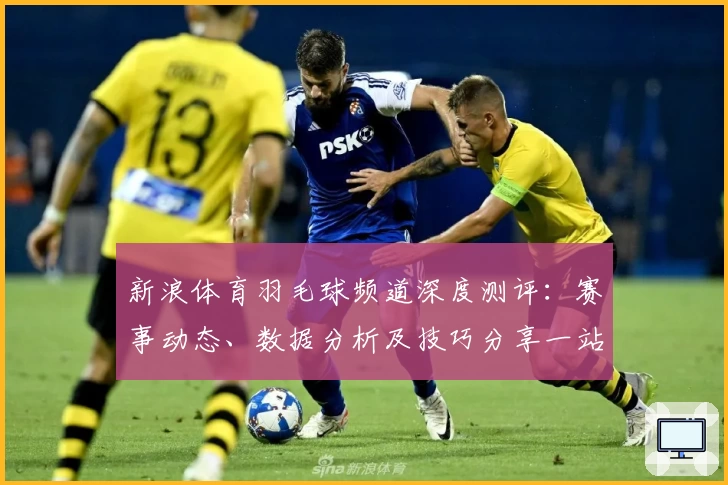 新浪体育羽毛球频道深度测评:赛事动态、数据分析及技巧分享一站式体验