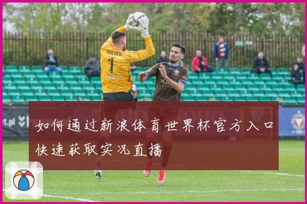 如何通过新浪体育世界杯官方入口快速获取实况直播