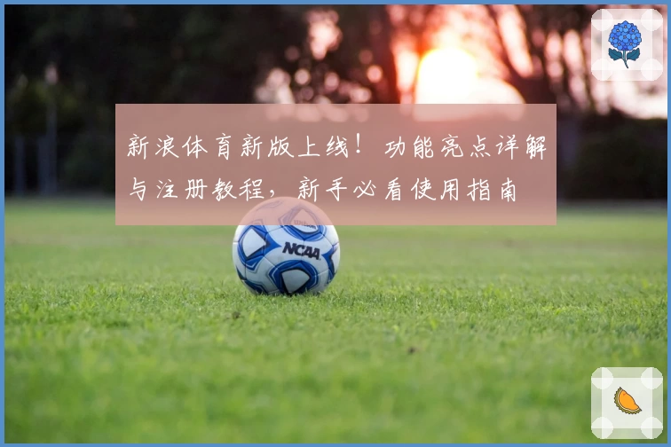 新浪体育新版上线！功能亮点详解与注册教程，新手必看使用指南
