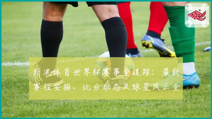 新浪体育世界杯赛事全追踪：最新赛程安排、比分动态及球星风云全面解析